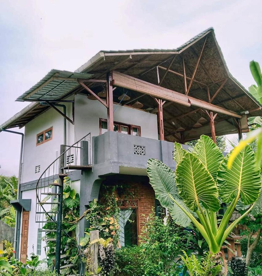 Sumatra Orangutan Discovery Villa Bukit Lawang Eksteriør billede