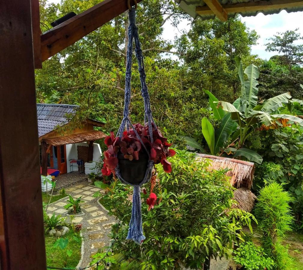 Sumatra Orangutan Discovery Villa Bukit Lawang Eksteriør billede