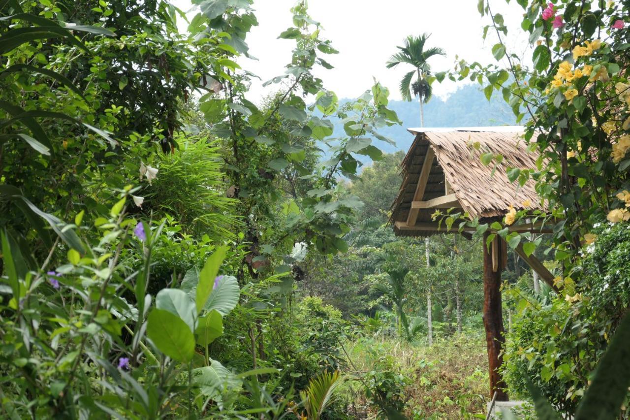 Sumatra Orangutan Discovery Villa Bukit Lawang Eksteriør billede