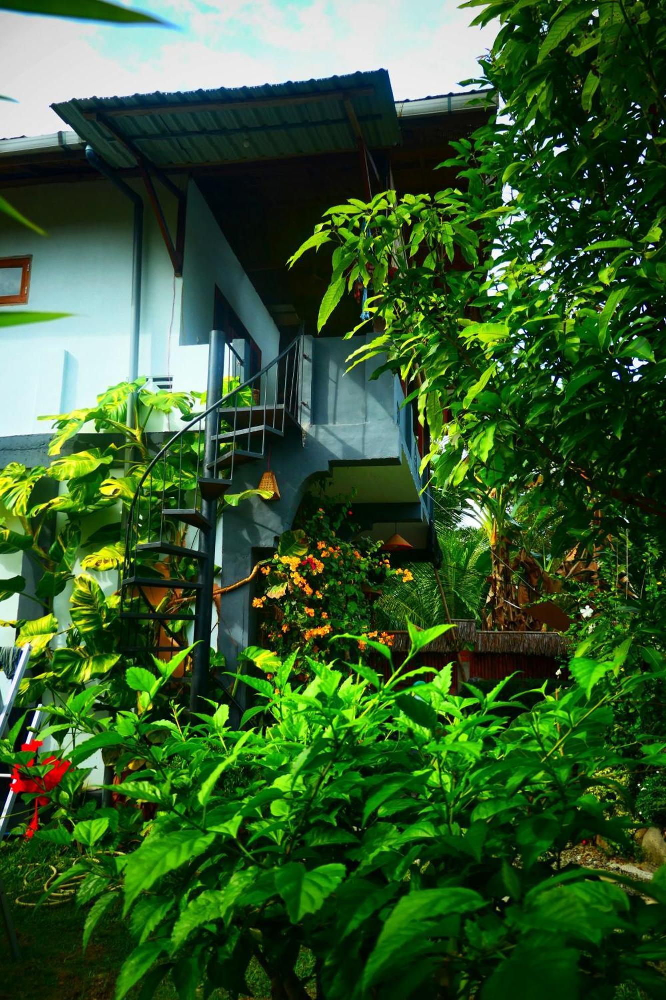 Sumatra Orangutan Discovery Villa Bukit Lawang Værelse billede